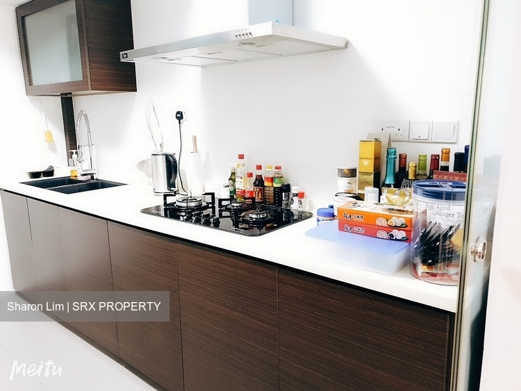 Blk 1A The Pinnacle@Duxton (Bukit Merah), HDB 4 Rooms #220716571
